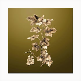 Gold Botanical Redcurrant Plant on Dune Yellow n.4049 Canvas Print