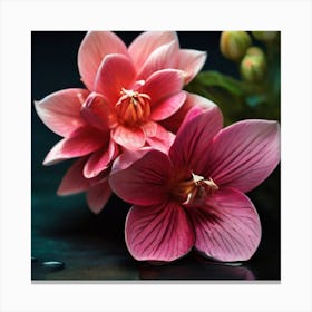 Pink Flowers On A Black Background Canvas Print