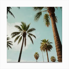 Default Palm Trees In Art Print 3 Canvas Print