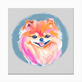 Pomeranian 03 Canvas Print