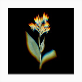 Prism Shift Water Canna Botanical Illustration on Black n.0269 Canvas Print