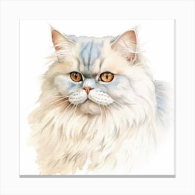 Colorpoint Persian Cat Portrait 3 Canvas Print