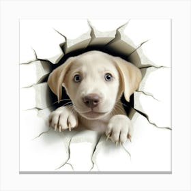 Puppy Peeking Out Of A Hole Canvas Print
