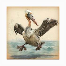 Pelican In Flight 4 Canvas Print