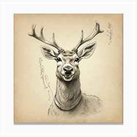 Deer Head 19 Canvas Print