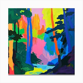 Colourful Abstract Muir Woods National Park Usa 4 Canvas Print