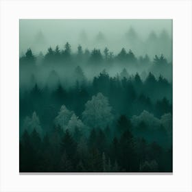 Foggy Forest 8 Canvas Print