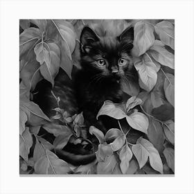 Black and White Black Kitten In Leaves 4 Canvas Print
