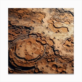 Surface Of The Moon Canvas Print