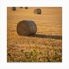 Hay Bales In A Field 1 Canvas Print