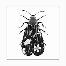 Nocturnal Moth Canvas Print