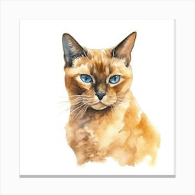 Burmese Champagne Cat Portrait 3 Canvas Print