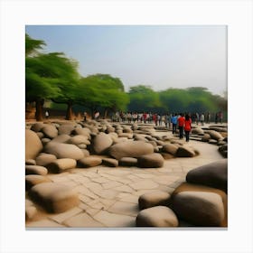 Rock garden Canvas Print