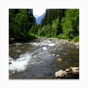 River In The Mountains of Tongass Forest Canvas Print