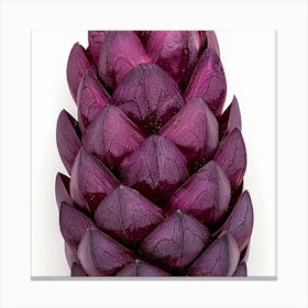 Purple Artichoke Canvas Print