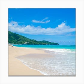 St Lucia Beach  Canvas Print