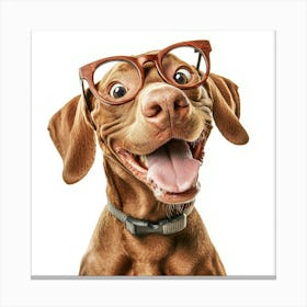 Happy Dog With Glasses Canvas Print