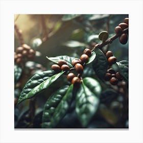 Coffee Beans On A Tree 68 Canvas Print