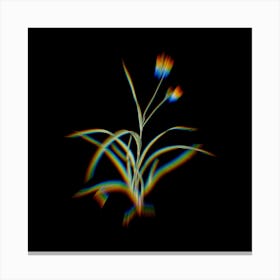 Prism Shift Spiderwort Botanical Illustration on Black n.0215 Canvas Print