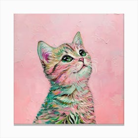 Pink Kitten Canvas Print Canvas Print