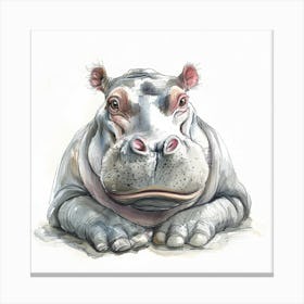 Hippo 4 Canvas Print