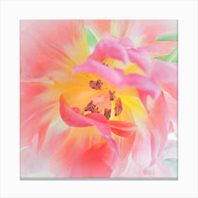 Pink Tulip Macro 1 Canvas Print