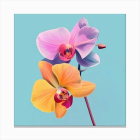 Orchids 12 Canvas Print