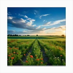 Field Of Poppies At Sunset Canvas Print
