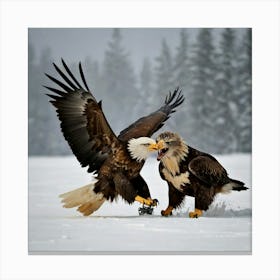 Bald Eagles Fighting Canvas Print