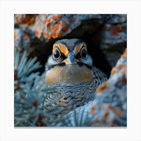 Pheasant 6 Canvas Print