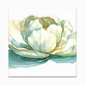 Lotus Flower 2 Canvas Print