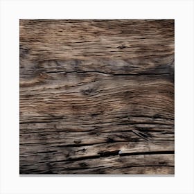 Old Wood Texture 6 Canvas Print