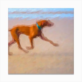 Dog Running On The Beach 4 Canvas Print