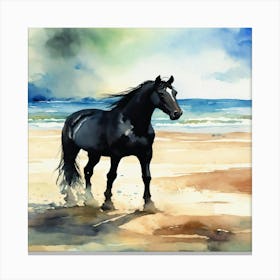Black Horse On The Beach Canvas Print
