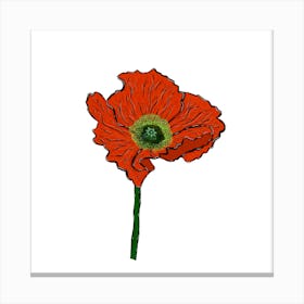 Red Poppy Canvas Print