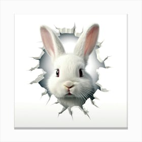 Rabbit Through A Hole 6 Canvas Print