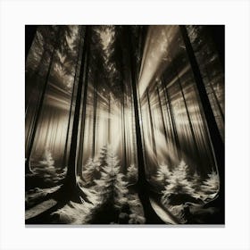 Rays Of Light In The Forest Canvas Print