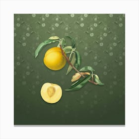 Vintage Peach Botanical on Lunar Green Pattern n.0634 Canvas Print
