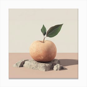 Apple On A Rock Canvas Print