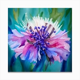 Colorful Cornflower Canvas Print