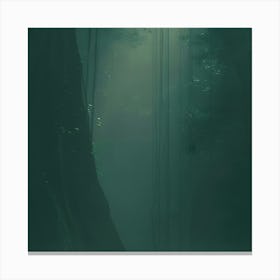 Forest Canvas Print