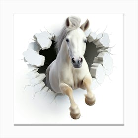 Horse Jumping Through A Hole 1 Canvas Print
