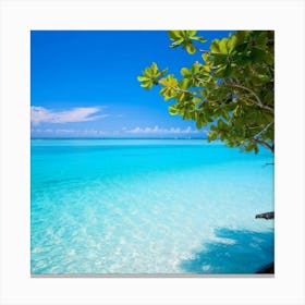 Relax Ocean Plant Idylli Holiday Coastline Beautiful Calm Shore Blue Paradise Sunlight N (24) Canvas Print