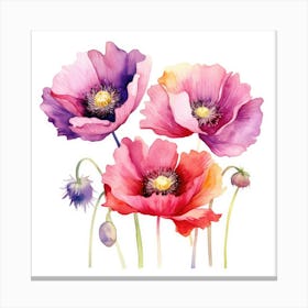 Watercolor Poppies 4 Canvas Print