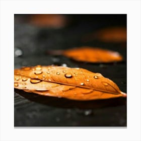 Autumn Leaves Canvas Print