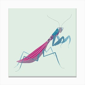 Praying Mantis Canvas Print