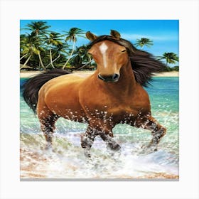 Horse On The Beach Canvas Print