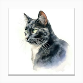 Chartruex Cat Portrait Canvas Print