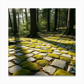Mossy Path In The Forest 3 Canvas Print