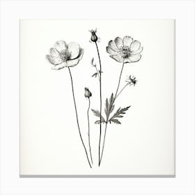 Black And White Flowers Canvas Print